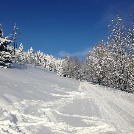 Vendégház Penzion A Restaurace Sokoli Boudy 4*